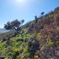 156 Mountain View - Photo 22