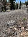 2271 Deer Loop - Photo 3