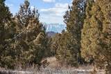 8665 Lake Creek Road - Photo 10
