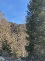 11928 Hwy 191 - Photo 15