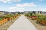 6852 Mountain Maple Drive - Photo 49