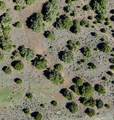 295 Ibapah Peak Drive - Photo 2