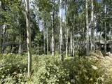 11485 Violet Way - Photo 9