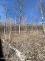 2604 Forest Meadow Road - Photo 8