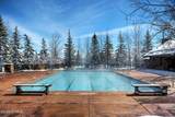 1083 Snow Berry Street - Photo 88