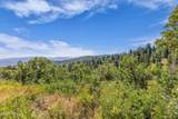 2412 Bull Moose Drive - Photo 22