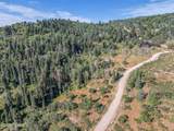 2412 Bull Moose Drive - Photo 4