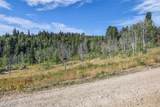 2412 Bull Moose Drive - Photo 8