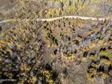 276 Bear Tooth Ridge - Photo 10