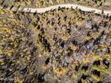 276 Bear Tooth Ridge - Photo 11