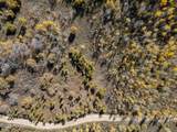 276 Bear Tooth Ridge - Photo 13