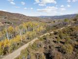 276 Bear Tooth Ridge - Photo 14