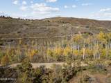 276 Bear Tooth Ridge - Photo 15