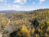 276 Bear Tooth Ridge - Photo 5