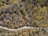 276 Bear Tooth Ridge - Photo 7