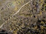 276 Bear Tooth Ridge - Photo 9
