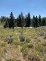 5559 Forest Drive - Photo 25
