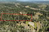 5559 Forest Drive - Photo 4