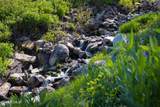 10256 Basin Canyon Road - Photo 2
