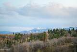 289 Porcupine Loop - Photo 43