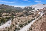 198 White Pine Canyon Road - Photo 10