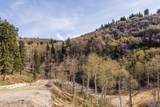 10135 Kimball Canyon Road - Photo 11