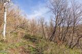 10135 Kimball Canyon Road - Photo 14