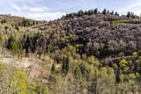 10135 Kimball Canyon Road - Photo 18