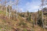10135 Kimball Canyon Road - Photo 3