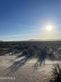 80 Acres Cougar Road - Photo 14