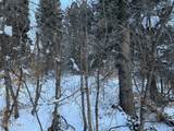 20 Success Trail - Photo 14