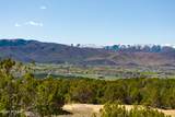 3167 Boulder Top Way - Photo 6