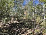 10337 River Road - Photo 14