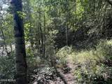 10337 River Road - Photo 2