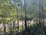 10337 River Road - Photo 5