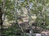 10337 River Road - Photo 6