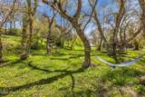 4265 Tammy Lane - Photo 38