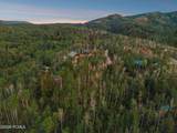 10749 Green Briar Road - Photo 10
