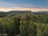 10749 Green Briar Road - Photo 4