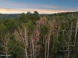 10749 Green Briar Road - Photo 7