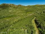 5146 Pine Canyon Road - Photo 11
