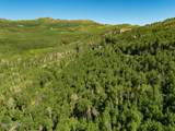 5146 Pine Canyon Road - Photo 6