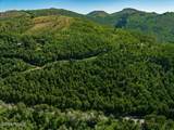 5146 Pine Canyon Road - Photo 8