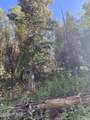 741 Forgotten Lane - Photo 10