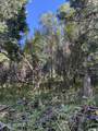 741 Forgotten Lane - Photo 11