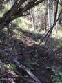 741 Forgotten Lane - Photo 12