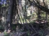 741 Forgotten Lane - Photo 13