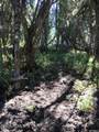 741 Forgotten Lane - Photo 15