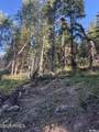 741 Forgotten Lane - Photo 16