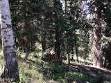 741 Forgotten Lane - Photo 17